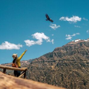 Arequipa
