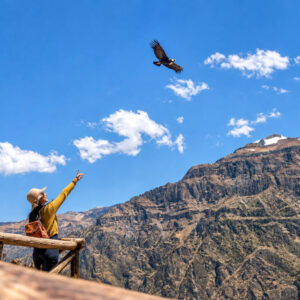 Arequipa
