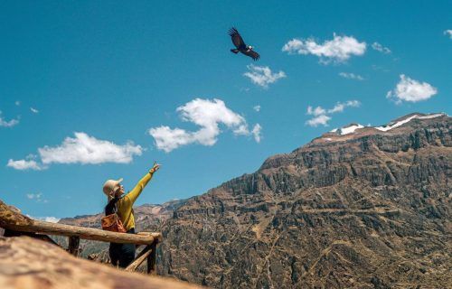 Cañon-del-Colca
