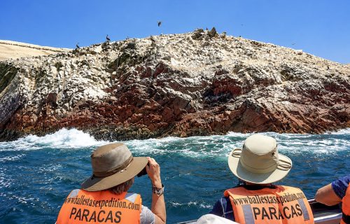 Islas Ballestas con reserva de paracas