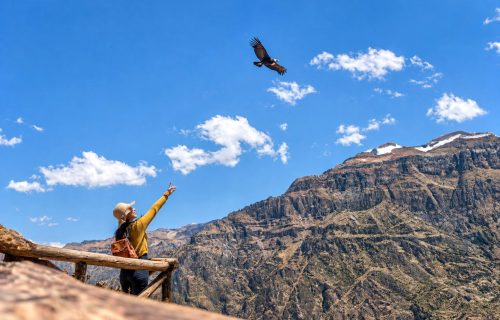 VISTA AL CONDOR EN EL CAÑON DEL COLCA